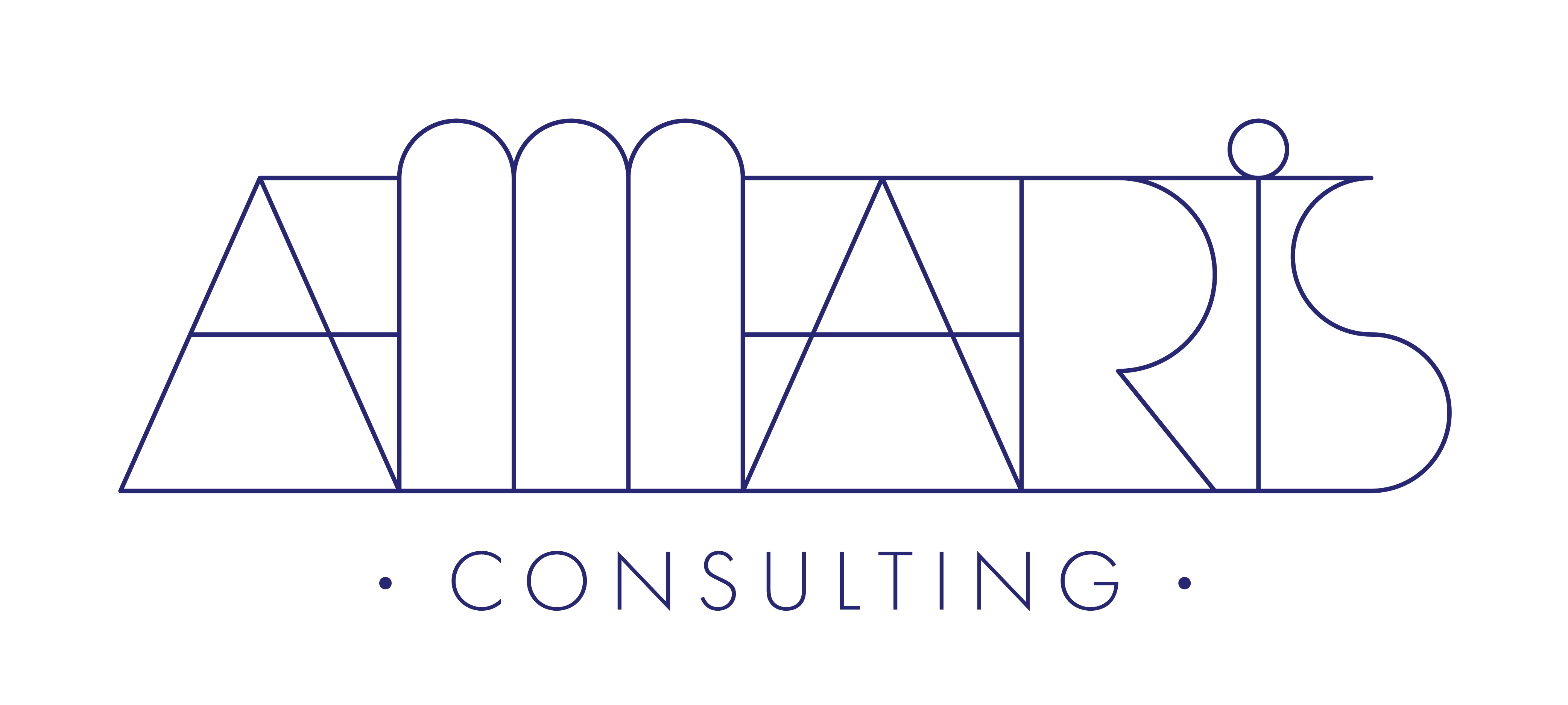 Amaris Technologies S.R.L.